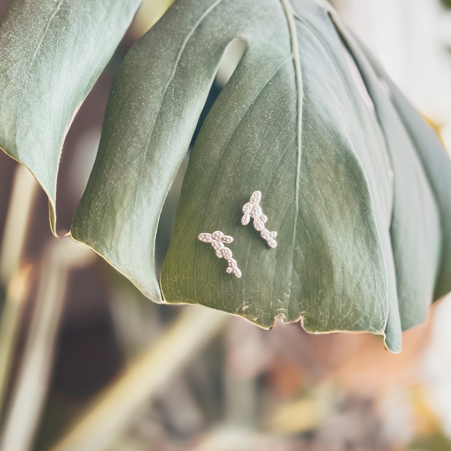 Prickly Pear Studs